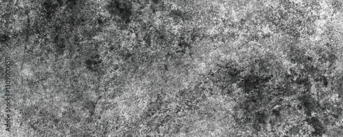 Wallpaper Mural A Gritty and Scratched Monochrome Texture with Layers of Natural Aging and Wear

 Torontodigital.ca