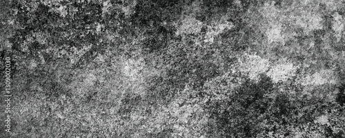 Wallpaper Mural A Gritty and Scratched Monochrome Background with Layers of Weathering and Natural Decay

 Torontodigital.ca