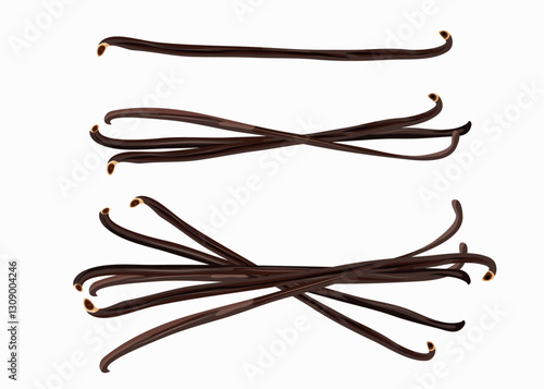 Set of vanilla pods isolated on white background. Vector illustration.