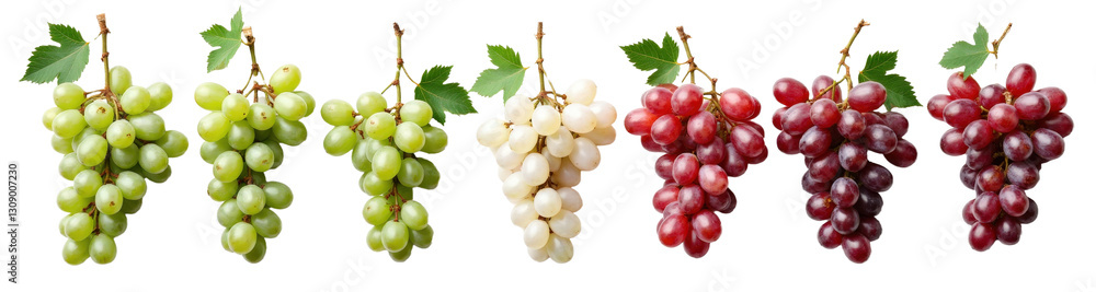 Clusters of Green, White, and Red Grapes with Leaves, transparent background Clusters of Green, White, and Red Grapes with Leaves, transparent background