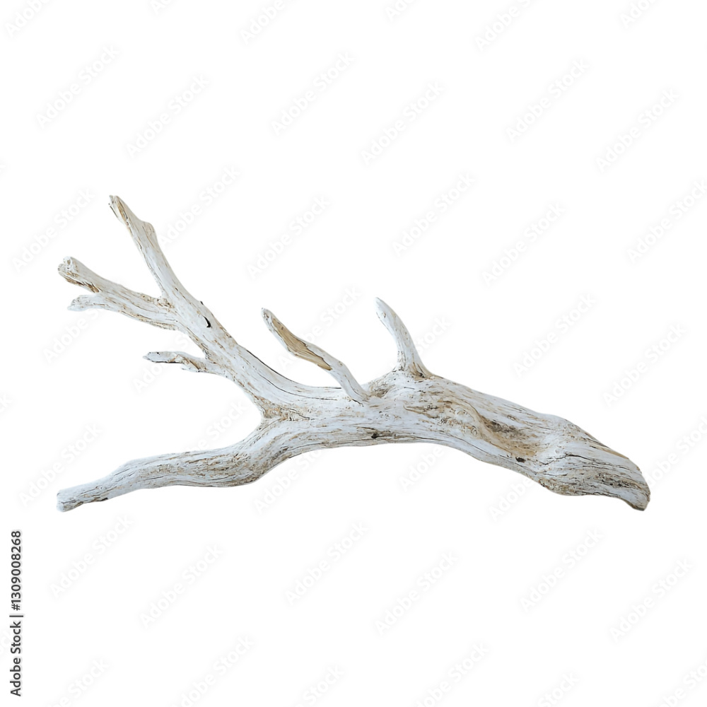 Transparent or PNG Image of Bunch of Tree Transparent or PNG Image of Bunch of Tree