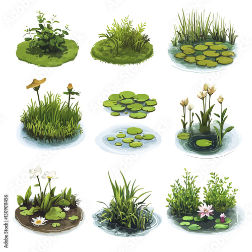 Watercolor illustrations of aquatic plants, water lilies and wetland flora