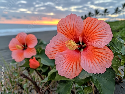 Wallpaper Mural Beach Hibiscus Sunset Bloom Torontodigital.ca