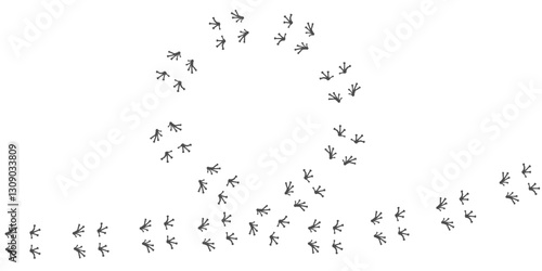 Footprints of Frog, Traces of a Reptilia on white background. Frog or anuran silhouette round animal tracks. Paw Print and text space. EPS10.