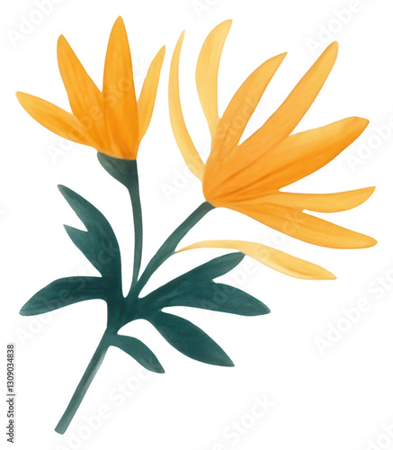 PNG Watercolor floral flower graphics pattern.