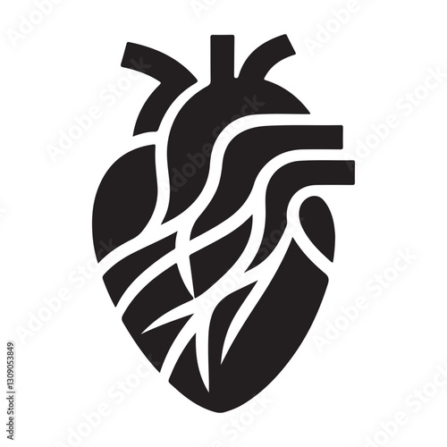 Anatomical Heart Illustration Understanding the Cardiovascular System Organ