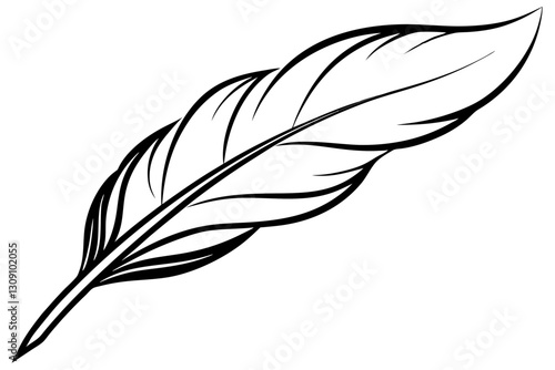 Feather elegant line drawing