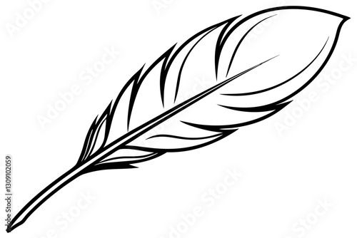 Feather elegant line drawing