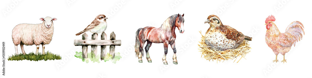 Farm animals including sheep, bird, horse, quail, and rooster watercolor illustration set isolated on transparent background Farm animals including sheep, bird, horse, quail, and rooster watercolor illustration set isolated on transparent background