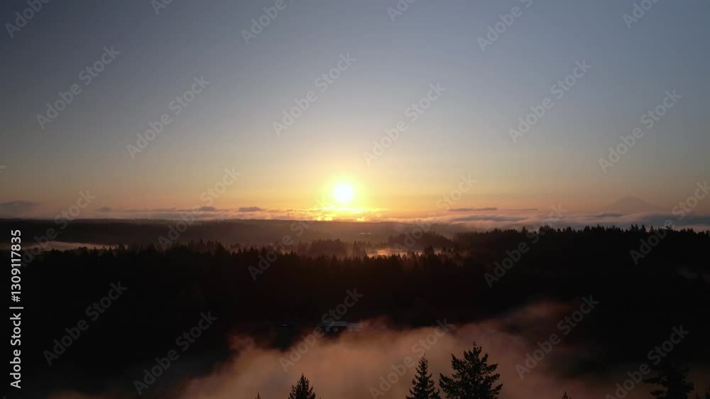 Golden sunrise over foggy pine tree silhouettes with a calm and serene atmosphere Golden sunrise over foggy pine tree silhouettes with a calm and serene atmosphere