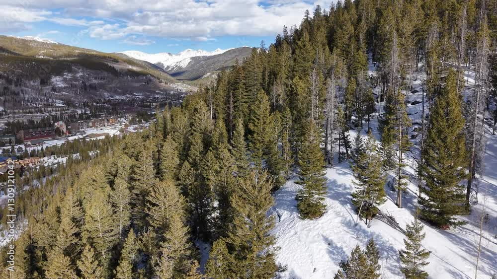 Aerial drone view of a snow-covered mountain forest with tall evergreen trees on a sloping hillside under bright daylight Aerial drone view of a snow-covered mountain forest with tall evergreen trees on a sloping hillside under bright daylight