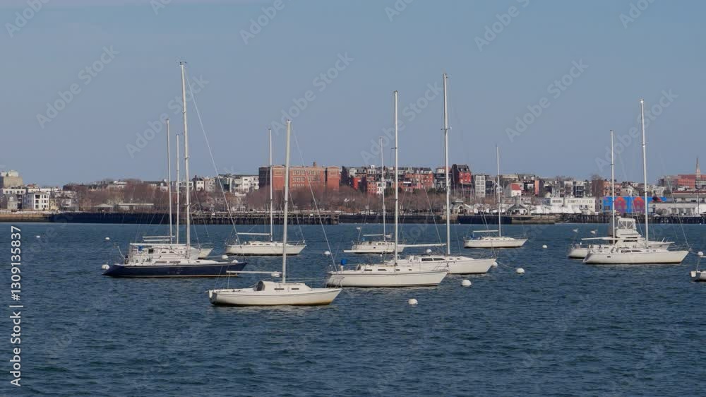 White sailboats anchored at Boston harbor White sailboats anchored at Boston harbor