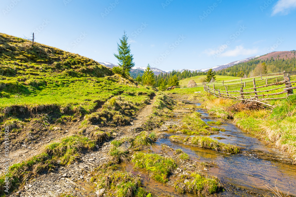 countryside scenery of ukraine in spring. natural environment. sunny morning. mountainous rural landscape with grassy field on a hill behind fence. brook in the valley. borzhava ridge