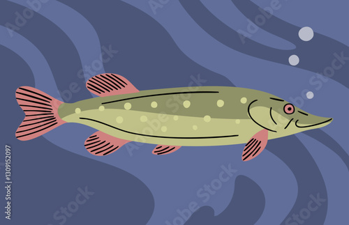 Pike fish underwater. Freshwater fish. Fishing, food and cooking. Fauna, wildlife and nature. Vector illustration