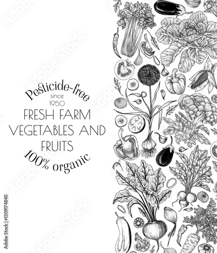 Vector frame of healthy food. Vegetables and greens. Carrot, celery, beet, radish, cucumber, tomato, pepper, broccoli, garlic, beans. Farm and organic food. Banner for grocery store. Vegan card