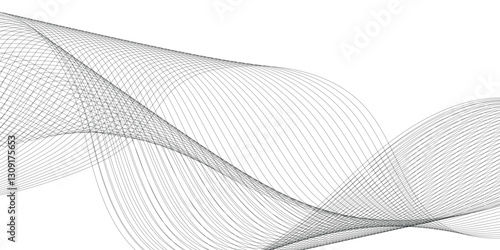 Thin wavy curve line vector background. Curve wave seamless pattern background. Black and grey wave curve lines motion vector background.

