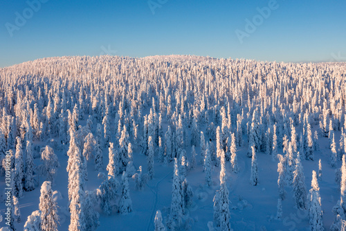 Obraz na płótnie winter landscape with snow w salonie