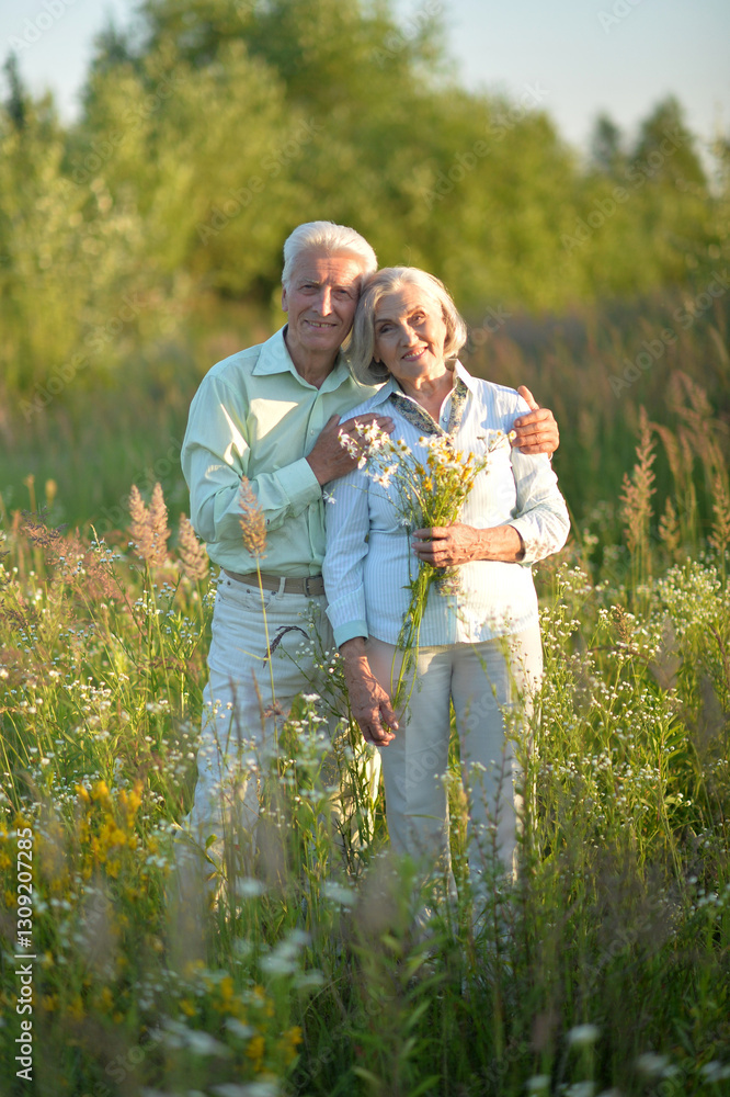 Fototapeta premium Loving mature couple in the park in summer