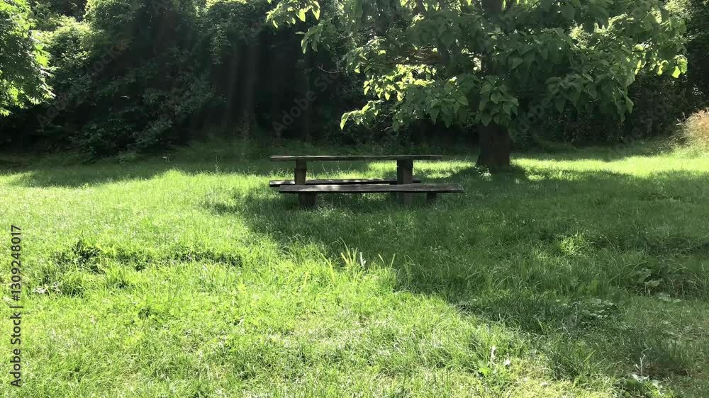 Serene Picnic Spot in Lush Greenery – Sunlit Nature Escape with Swaying Trees Serene Picnic Spot in Lush Greenery – Sunlit Nature Escape with Swaying Trees