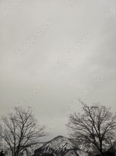 Yuzawa, Japan on a cold March day