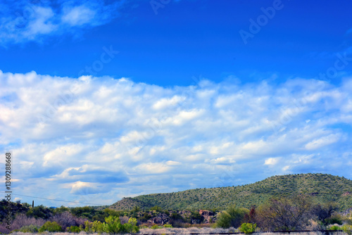 Wallpaper Mural Salt River Recreation Area Arizona Torontodigital.ca