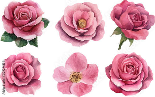 set of pink roses
