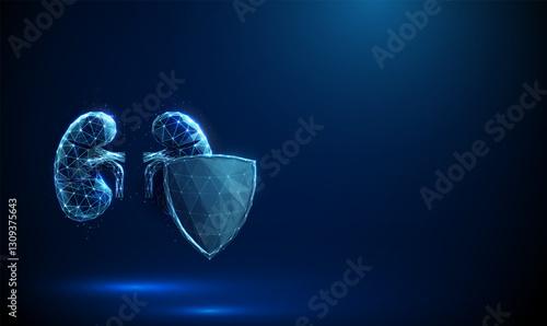 Abstract blue human kidneys behind the futuristic guard shield. Kidneys protection. Healthcare medical concept.