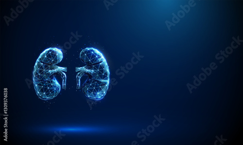 Abstract blue human kidneys. Low poly style. Kidneys anatomy, health, medical diagnostics concept.