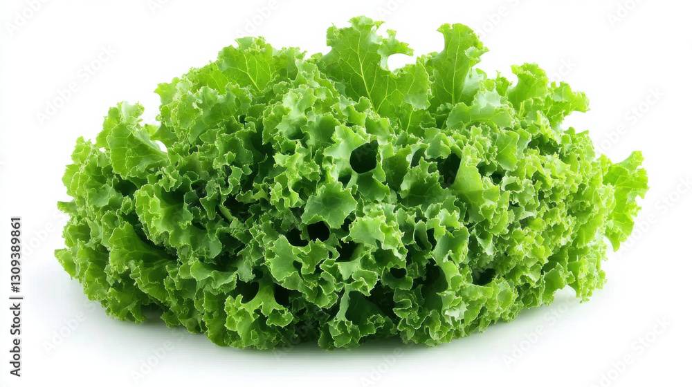 fresh bundle of curly kale is isolated on pure white background, showcasing its vibrant green leaves and natural texture fresh bundle of curly kale is isolated on pure white background, showcasing its vibrant green leaves and natural texture