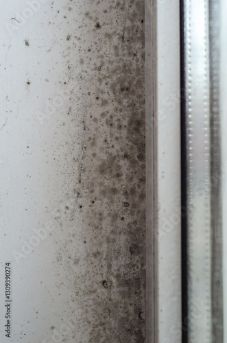 Toxic mold patches on damp wall near window frame indoors