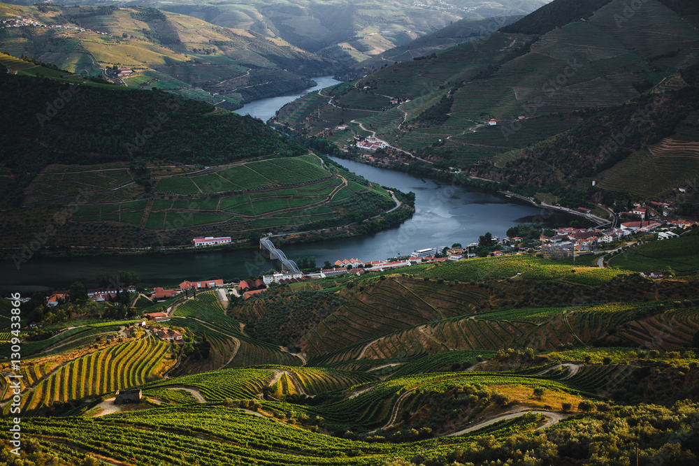 A stunning view of Pinhao in the Douro River Valley, Portugal, surrounded by breathtaking vineyards and rolling hills.