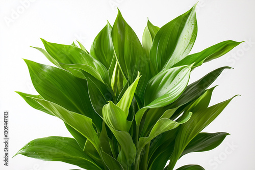 Wallpaper Mural Lush Green Leaves Arrangement Torontodigital.ca