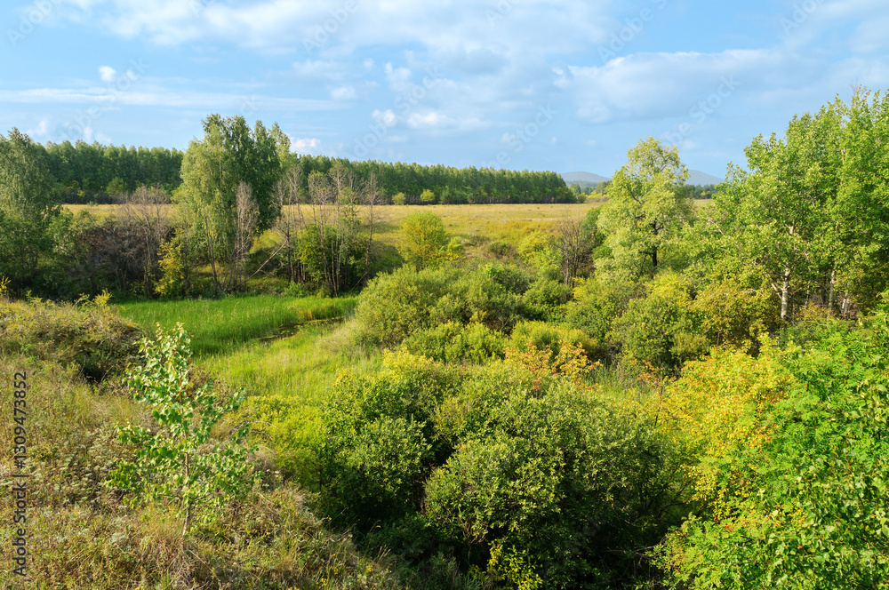 Summer forest landscape - the Ustinovskii Canyon in Southern Urals, Russia, summer view Summer forest landscape - the Ustinovskii Canyon in Southern Urals, Russia, summer view