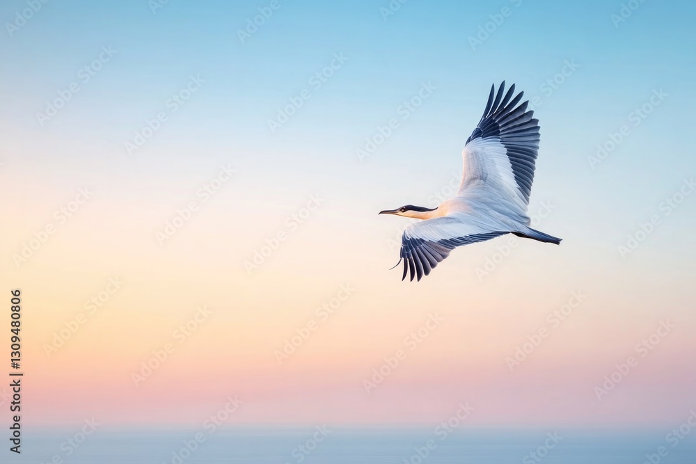 Fototapeta premium large majestic bird soaring through clear blue sky at sunset its wings fully extended against warm hues leaving vast