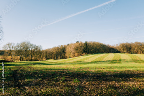 Obraz na płótnie A serene countryside landscape featuring a green field with striped grass patterns, surrounded by a dense forest under a soft blue sky with contrails. A peaceful rural scene bathed in warm sunlight. w salonie