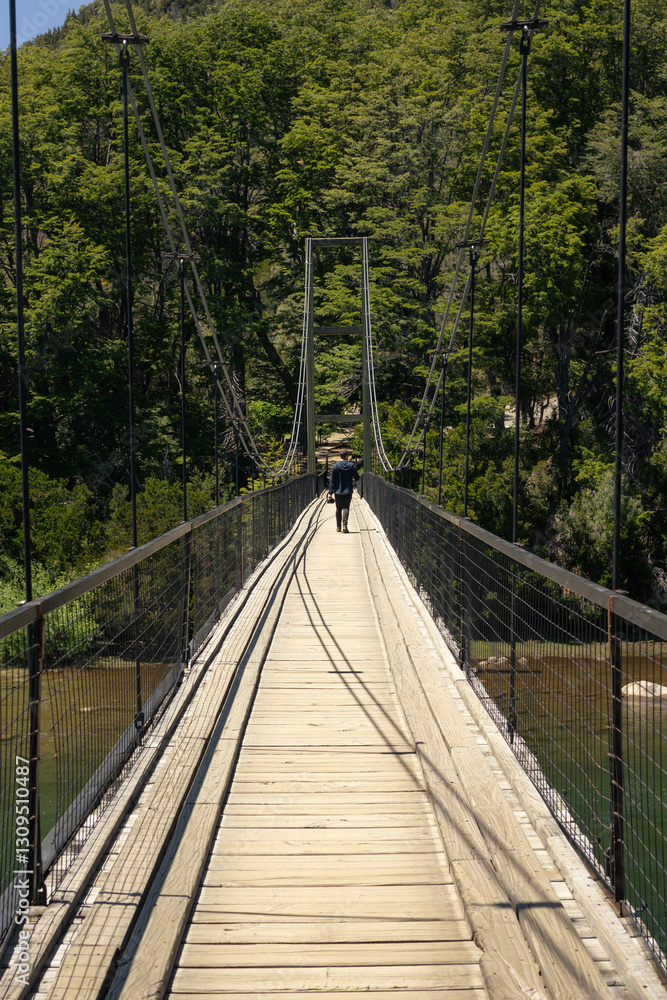 Person walking in hanging bridge among g wild nature. Pasarela Río Arrayanes, Chubut, Argentina Person walking in hanging bridge among g wild nature. Pasarela Río Arrayanes, Chubut, Argentina