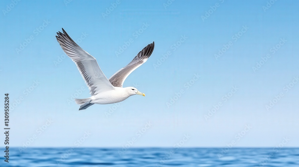 A albatross gracefully soars above the calm ocean waters under a clear blue sky. A albatross gracefully soars above the calm ocean waters under a clear blue sky.
