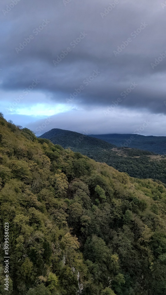 Mountain Forest under Dramatic Clouds Mountain Forest under Dramatic Clouds