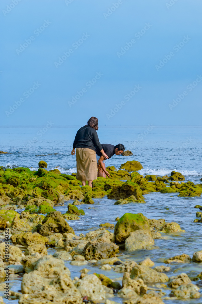 A man and woman search among moss-covered coral boulders extending into the sea. The ocean is in the background, and they're focused on examining the rocks. A man and woman search among moss-covered coral boulders extending into the sea. The ocean is in the background, and they're focused on examining the rocks.