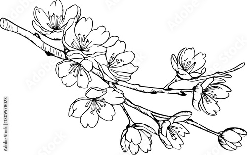 Cherry blossom branch nature scene floral illustration springtime close-up view beauty of nature