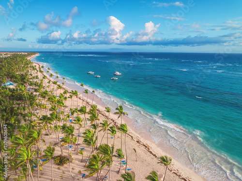 Fototapeta Naklejka Na Ścianę i Meble -  Aerial View of Tropical Caribbean Beach with Palm Trees and Blue Ocean Waters, Dominican Republic