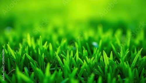 Lush green grass texture, vibrant spring lawn , growth, texture