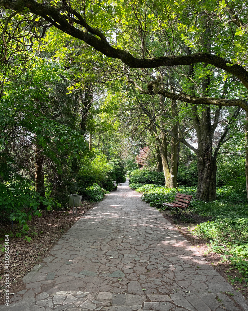Fototapeta premium Straight path in green garden. Summer morning in a park - beams of light among trees.