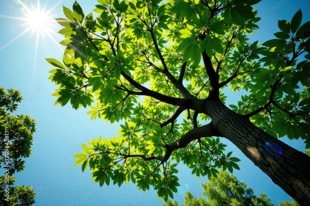 Fototapeta premium Tree's branches stretching towards the sky with intricate details, foliage, branches, tree