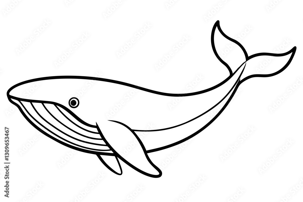 Fototapeta premium Elegant Whale Line Art