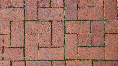 Wallpaper Mural Red firebrick sidewalk, with its textured surface, adds a rustic appeal and vibrant contrast to the surroundings, highlighting its enduring charm and durability. Torontodigital.ca