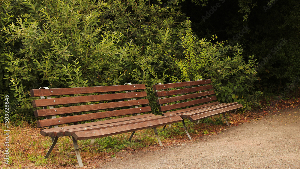 Tranquil Park Scene with Wooden Benches and Lush Greenery in Summer