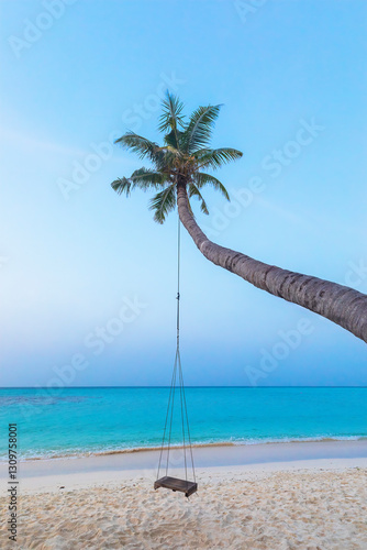 Swing on a palm tree on the...