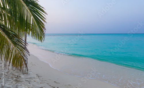Indian Ocean coast in the M...