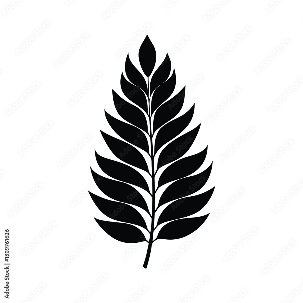 acacia leaf of a silhouette art acacia leaf of a silhouette art